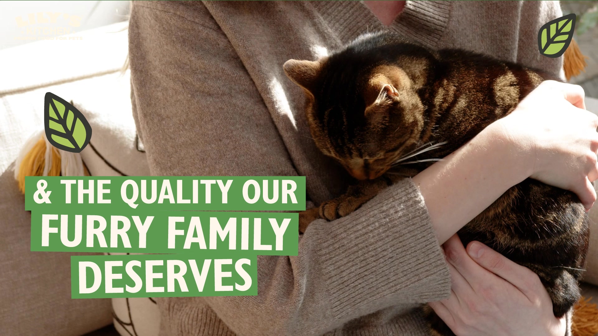 Try our vet approved recipes!