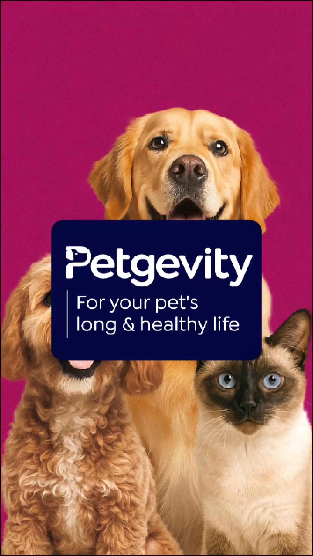 Petgevity UK ad: Lifetime pet insurance