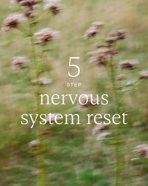 Wild Journal | Nutrition Advice | Healthy Living