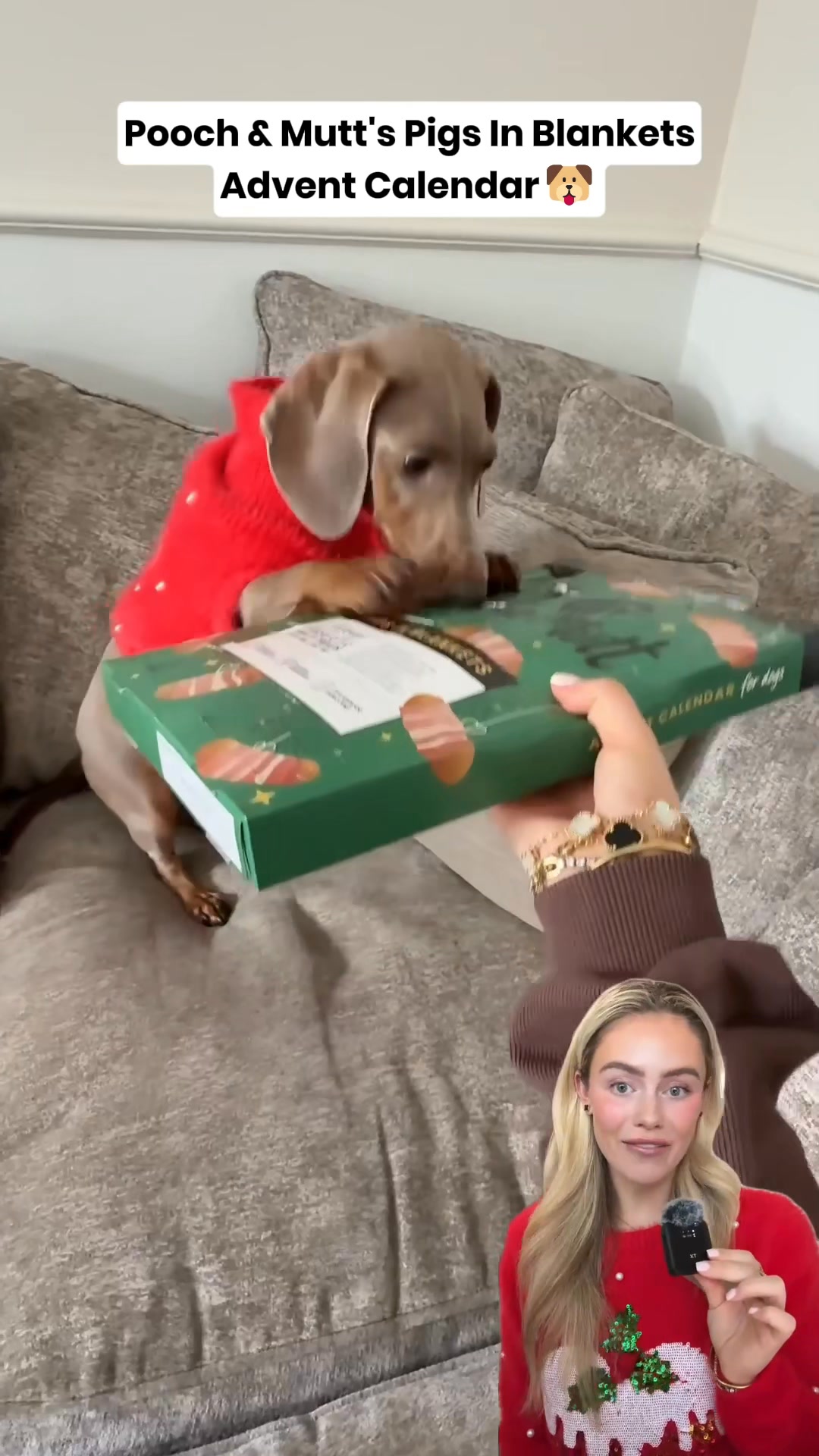 A Meaty Christmas Awaits!