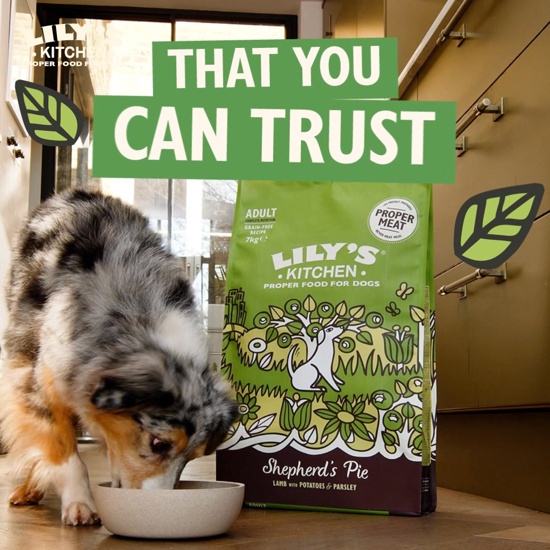 What’s the secret to being the best pet parent?