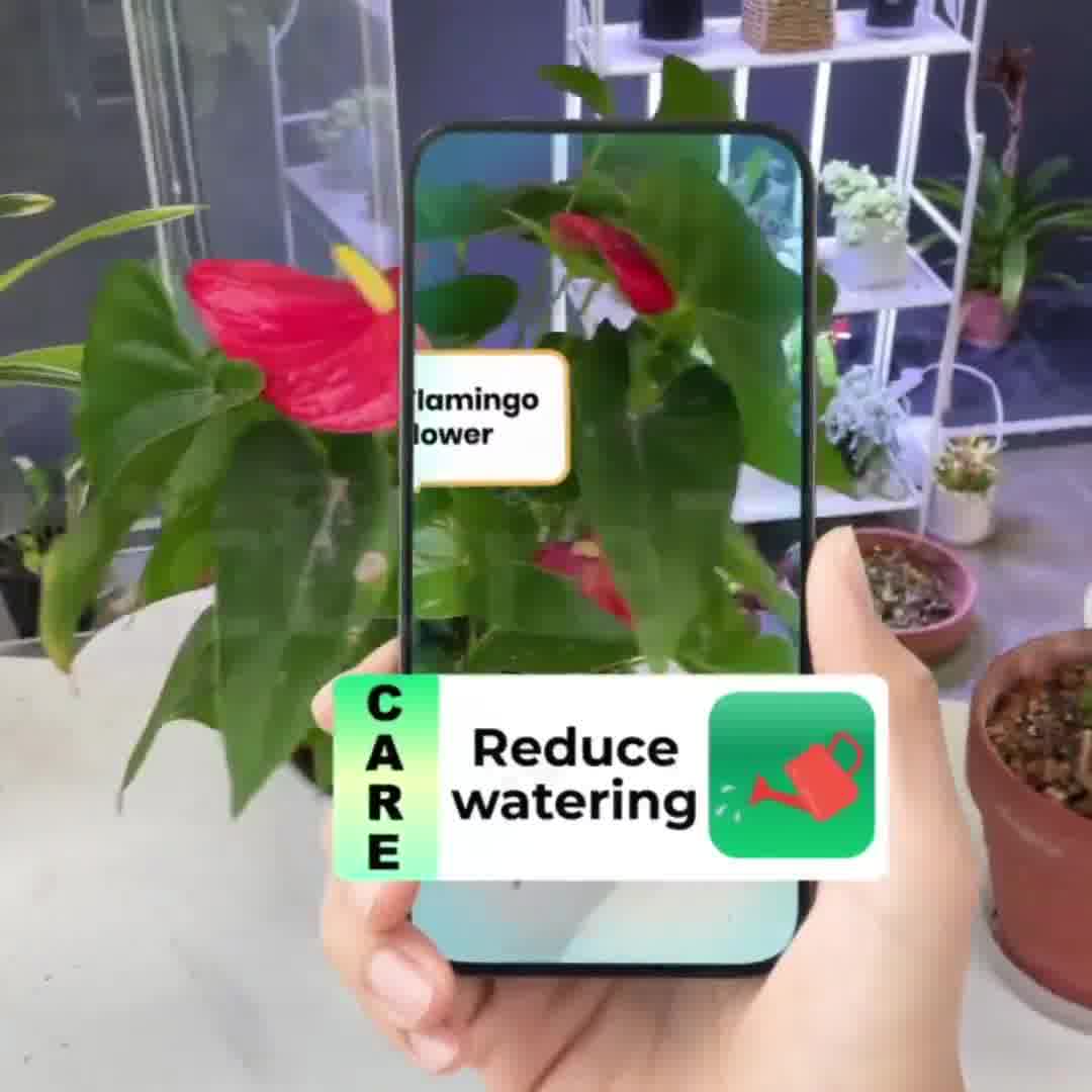 No more dying plants  👉