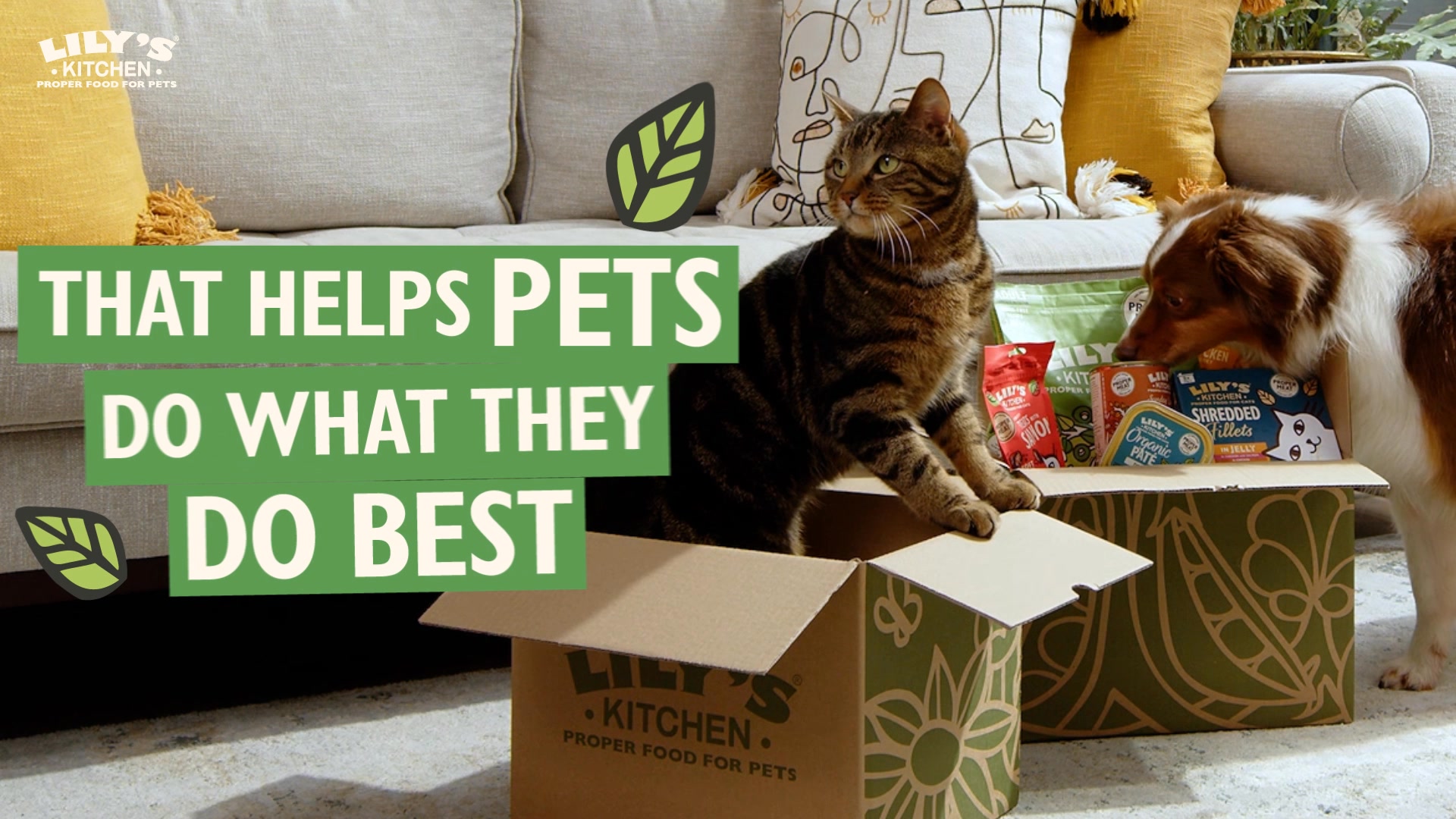 This is where the magic happens ✨