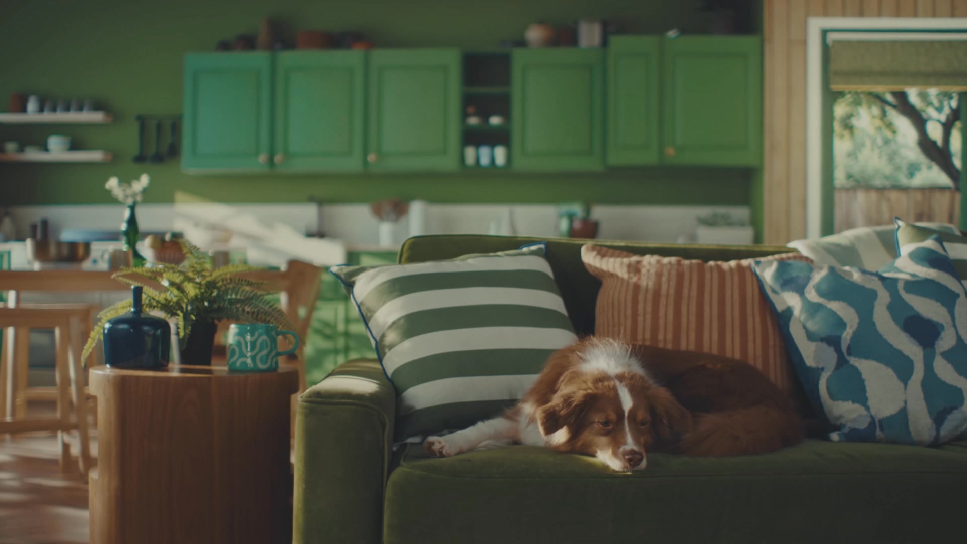 Cue The Dinner Dance🪩