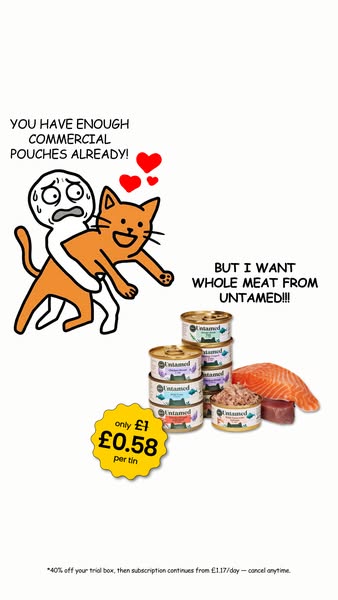 Untamed ad: Grab Your £7 Trial Box Today! 😻