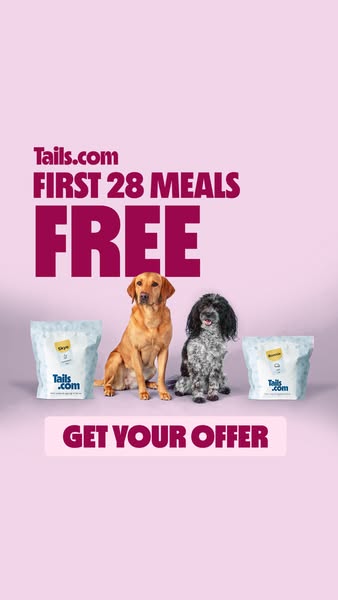 Meet your dog’s personalised plan 🎉