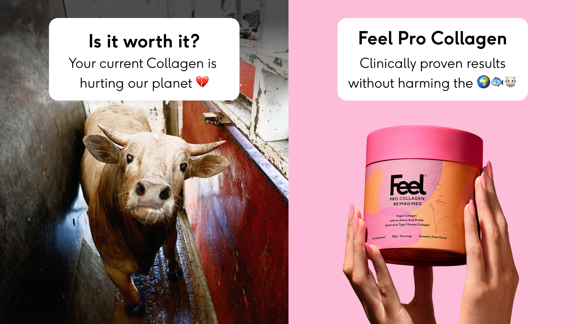 Feel ad: Try today with 20% OFF 🩷