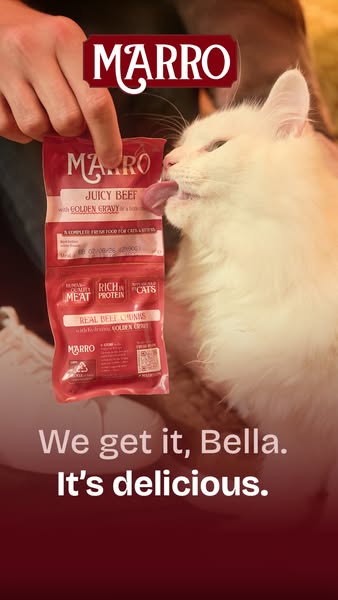 Marro ad: Ready To Start Fresh?