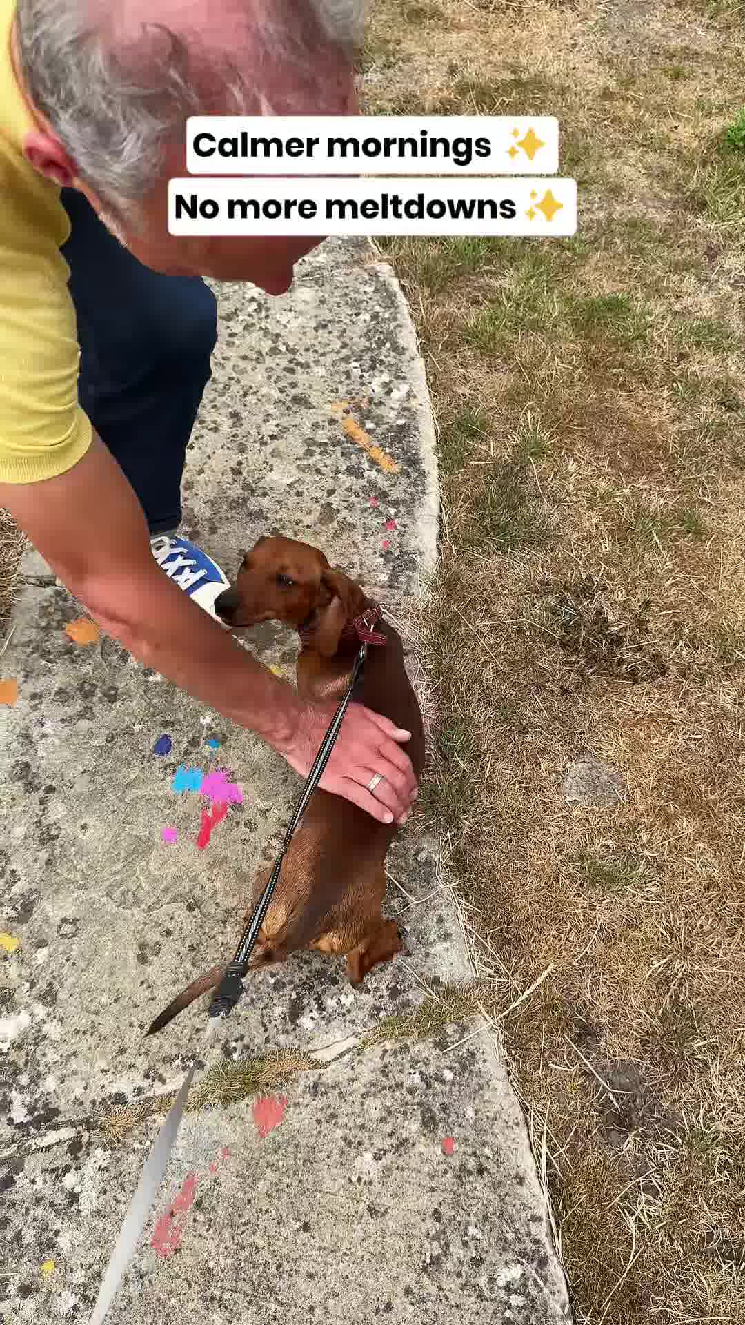 Calm & Relaxed Dry Food